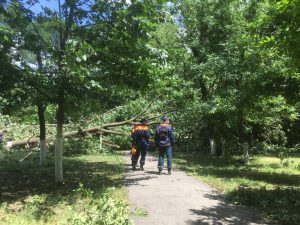 Спасатели Республиканской профессиональной поисково-спасательной службы приняли участие в ликвидации последствий града и урагана, обрушившихся на Беслан